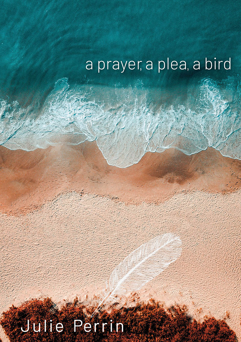  A prayer, a plea, a bird cover (MediaCom)